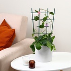 Шпалера, 48×29×0.2 см, пластик, зелёная, Greengo - Фото 5