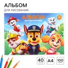 Альбом для рисования А4, 40 листов 100 г/м², на склейке, Щенячий патруль 9431575 - фото 12795361