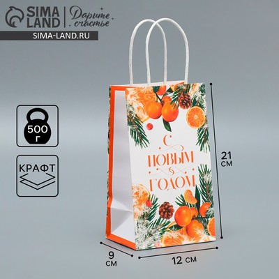 Пакет подарочный новогодний крафтовый «С Новым годом», 12×21×9 см