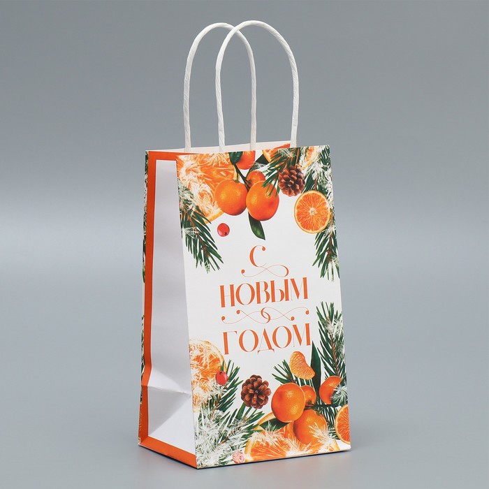 Пакет подарочный крафтовый «Новогодний цитрус», 12 × 21 × 9 см - Фото 1