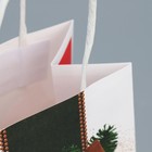 Пакет подарочный крафтовый «Время чудес», 12 х 21 х 9 см, Новый год - фото 22511717