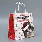 Пакет подарочный крафтовый «Котик», 22 × 22 × 11 см - фото 1699644