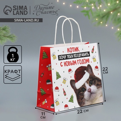 Пакет подарочный новогодний крафтовый «Котик», 22×22×11 см