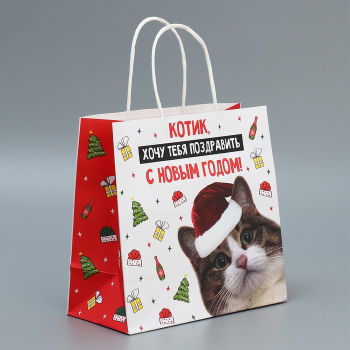 Пакет подарочный крафтовый «Котик», 22 × 22 × 11 см