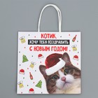 Пакет подарочный новогодний крафтовый «Котик», 22 х 22 х 11 см, Новый год - Фото 7