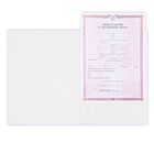 Папка для свидетельства о заключении брака «Самый важный день», А4. - Фото 3