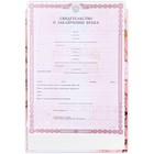 Папка для свидетельства о заключении брака «Семейный документ», мрамор, А5 - Фото 3