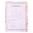 Папка для свидетельства о заключении брака «Семейный документ», мрамор, А5 - Фото 7