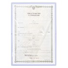 Папка для свидетельства о рождении «Наше чудо», зайки, А5 9542847 - фото 16862727