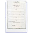 Папка для свидетельства о рождении «Наше чудо», зайки, А5 9542847 - фото 16862728