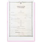 Папка для свидетельства о рождении «Нашей принцессы», А5. - Фото 3