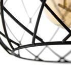 Светильник 2089/3BK E27 40Вт черный - фото 22512378