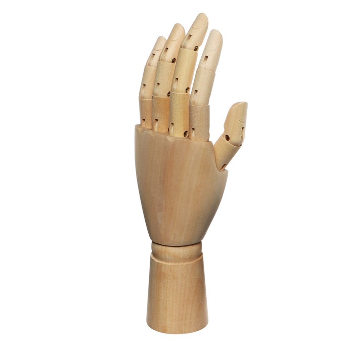 Модель деревянная Рука женская левая 25см - Фото 1