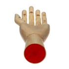 Модель деревянная «Рука», 25 см, женская, левая - Фото 4