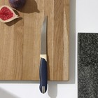 Нож кухонный для мяса Tramontina Multicolor, лезвие 12,5 см - фото 4387829