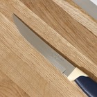 Нож кухонный для мяса Tramontina Multicolor, лезвие 12,5 см - фото 4387830