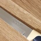 Нож кухонный для мяса Tramontina Multicolor, лезвие 12,5 см - фото 4387831