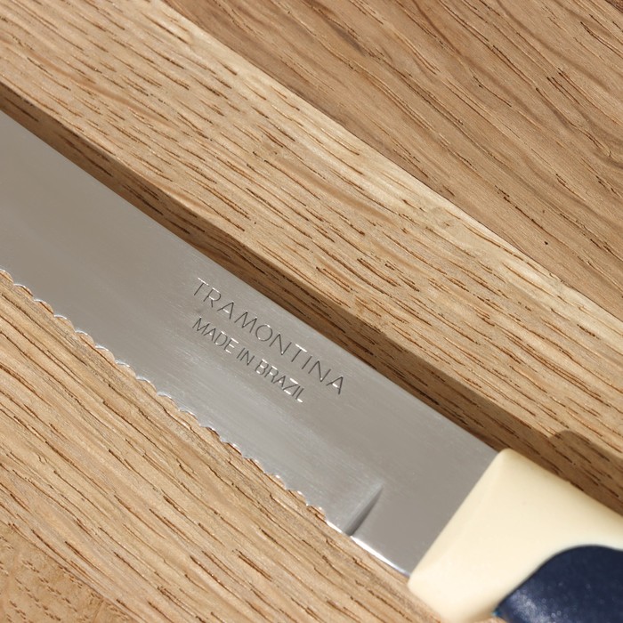 Нож кухонный для мяса Tramontina Multicolor, лезвие 12,5 см - фото 1909255178