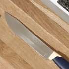 Нож кухонный для мяса Tramontina Multicolor, лезвие 15 см - фото 4387834
