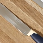Нож кухонный для мяса Tramontina Multicolor, лезвие 15 см - Фото 3