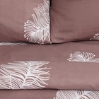 Постельное бельё Экономь и Я 1, 5 сп Feathers 147х215см, 150х215см, 70х70см-2 шт, полисатин, 80г/м² - Фото 2