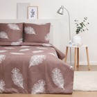 Постельное бельё Экономь и Я 2 сп Feathers 175х215см, 180х215см, 70х70см-2 шт, полисатин, 80 г/м² - фото 25427575