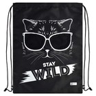 Мешок для обуви 480 х 360 мм, Феникс, шелкография, сетка, "Стильная киса" - фото 22428547