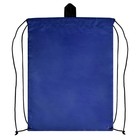 Мешок для обуви с карманом 480 х 360 мм, Феникс "Крутой гризли" синий 63004 - фото 24617848