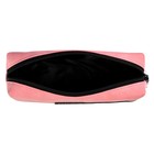 Пенал мягкий, 1 отделение, 65 х 195 х 50 мм, объёмный, искусственная кожа, Феникс "Заяви о себе" 61351 - фото 22428608