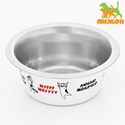 Миска стандартная Пижон «Муррр, мяууу», 225 мл - Фото 1