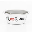Миска стандартная Пижон «Муррр, мяууу», 225 мл - Фото 2