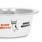 Миска стандартная Пижон «Муррр, мяууу», 225 мл - Фото 4