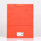 Пакет подарочный ламинированный «Красный», 31×40×14 см - Фото 2