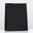 Пакет ламинированный «Чёрный», 31 х 40 х 14 см - фото 319681218