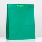 Пакет ламинированный «Зелёный», 31 х 40 х 14 см - фото 319681220