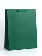 Пакет подарочный ламинированный «Зелёный», 31×40×14 см - Фото 1