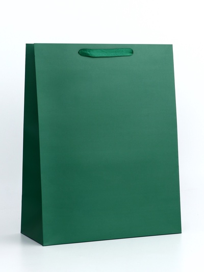 Пакет подарочный ламинированный «Зелёный», 31×40×14 см