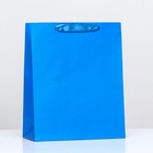 Пакет ламинированный «Синий», 26 х 32 х 12 см - фото 2268620