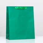 Пакет ламинированный «Зелёный», 26 х 32 х 12 см - фото 319681230