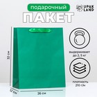 Пакет подарочный ламинированный «Зелёный», 26×32×12 см - Фото 1