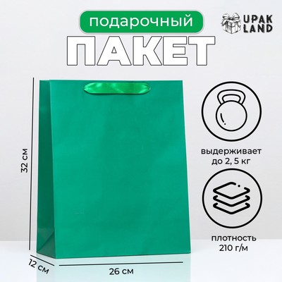Пакет подарочный ламинированный «Зелёный», 26×32×12 см