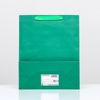 Пакет подарочный ламинированный «Зелёный», 26×32×12 см - Фото 2