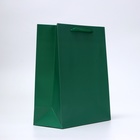 Пакет подарочный ламинированный «Зелёный», 26×32×12 см - Фото 4