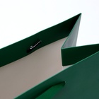 Пакет подарочный ламинированный «Зелёный», 26×32×12 см - Фото 6