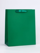 Пакет подарочный ламинированный «Изумрудный», 26×32×12 см - Фото 1