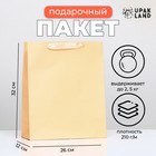 Пакет подарочный ламинированный «Бежевый», 26×32×12 см - Фото 1