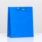 Пакет ламинированный «Синий», 18 х 23 х 10 см - фото 319681244