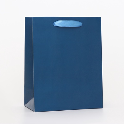 Пакет подарочный ламинированный «Синий», 18×23×10 см