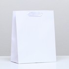 Пакет ламинированный «Белый», 18 х 23 х 10 см - фото 319681246