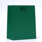 Пакет подарочный ламинированный «Зелёный», 18×23×10 см МИКС - Фото 1